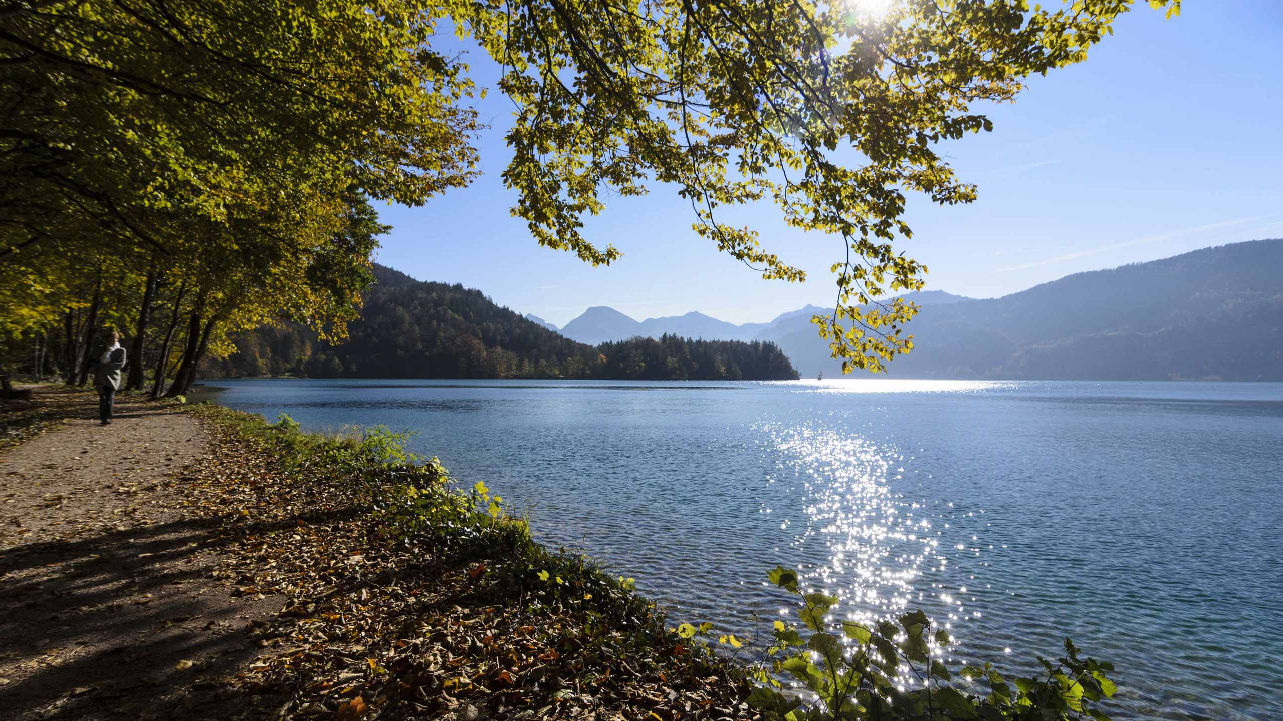 Lake Wolfgang in autumn