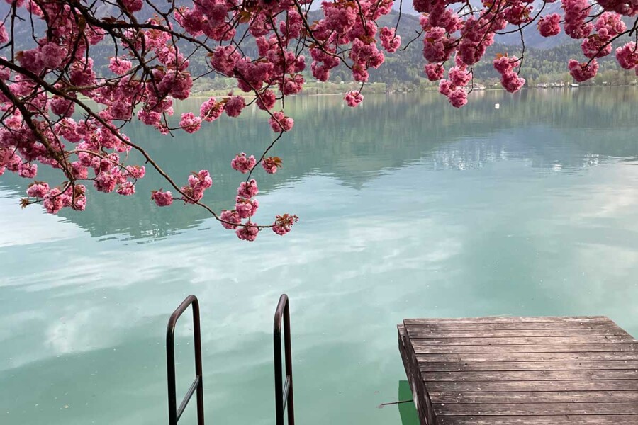 Frühlingszauber am Wolfgangsee