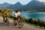 Bike path on the Wolfgangsee