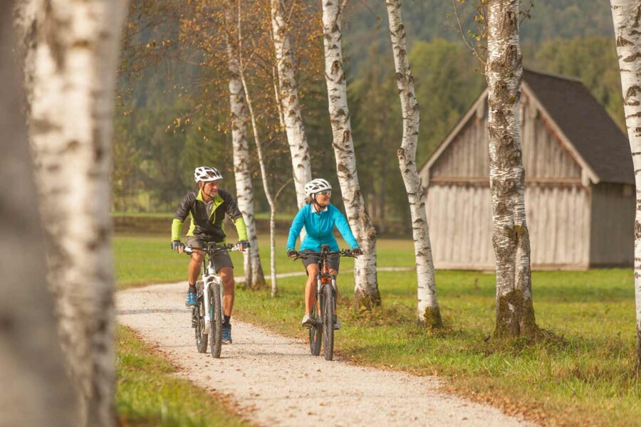Leisurely cycling by the lake Wolfgang